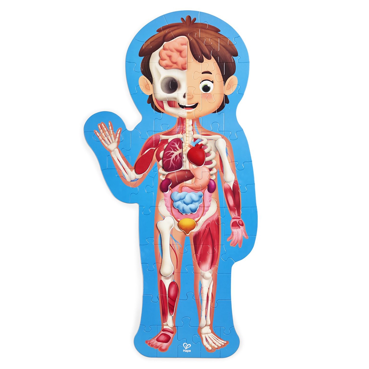 Puzzle Cuerpo Humano Hape 2