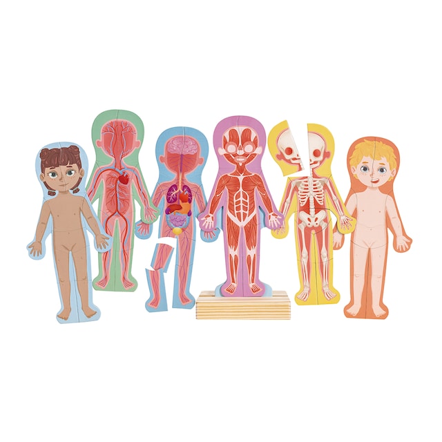 Imagen 0 de Juego de Rompecabezas magnético del cuerpo humano Hape