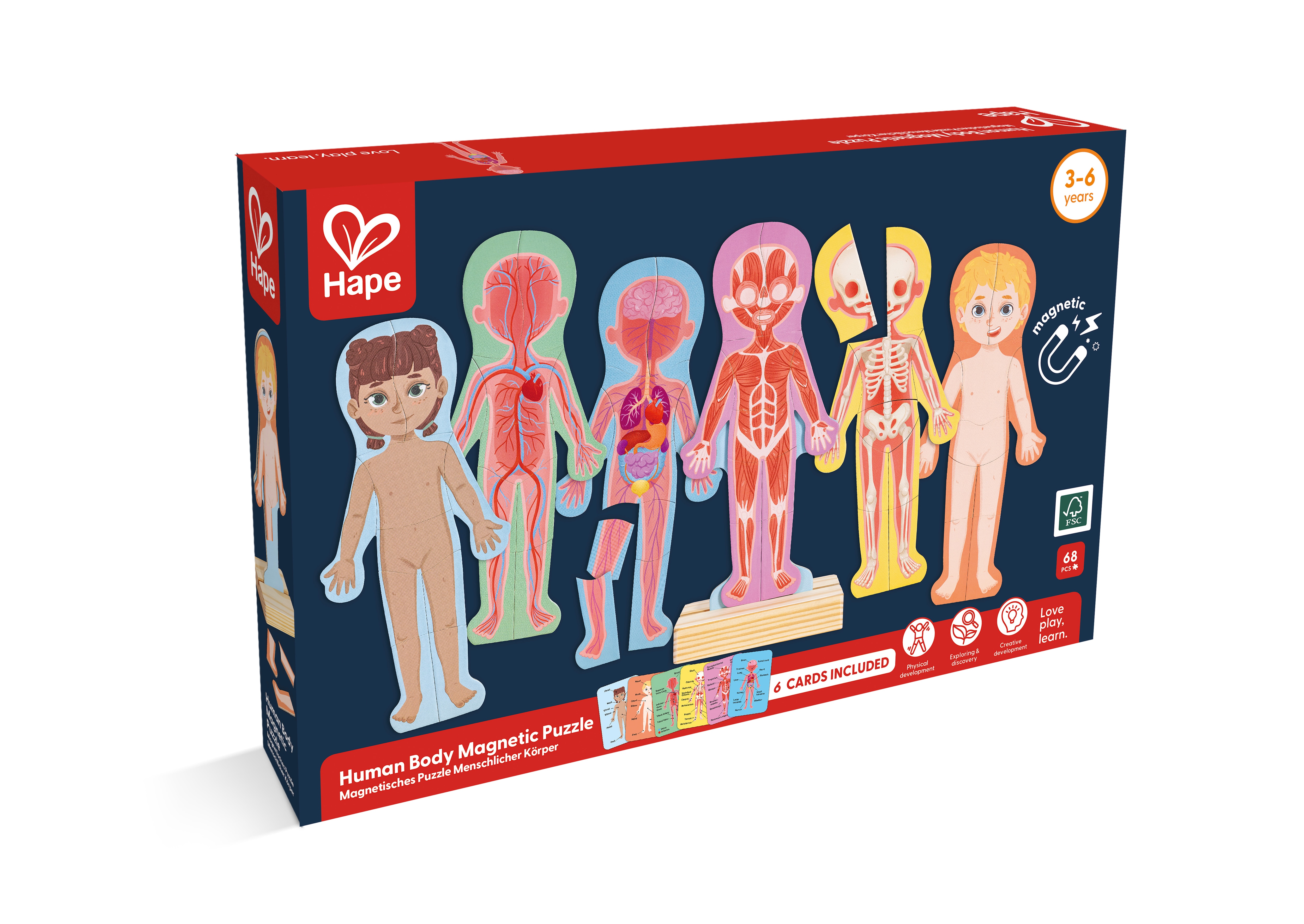 Juego de Rompecabezas magnético del cuerpo humano Hape 2