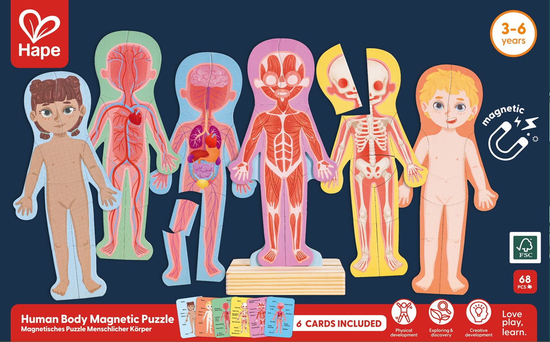 Juego de Rompecabezas magnético del cuerpo humano Hape 5