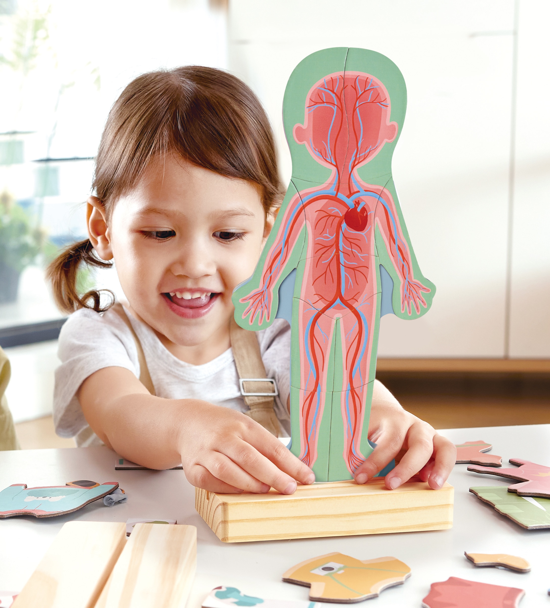 Juego de Rompecabezas magnético del cuerpo humano Hape 7