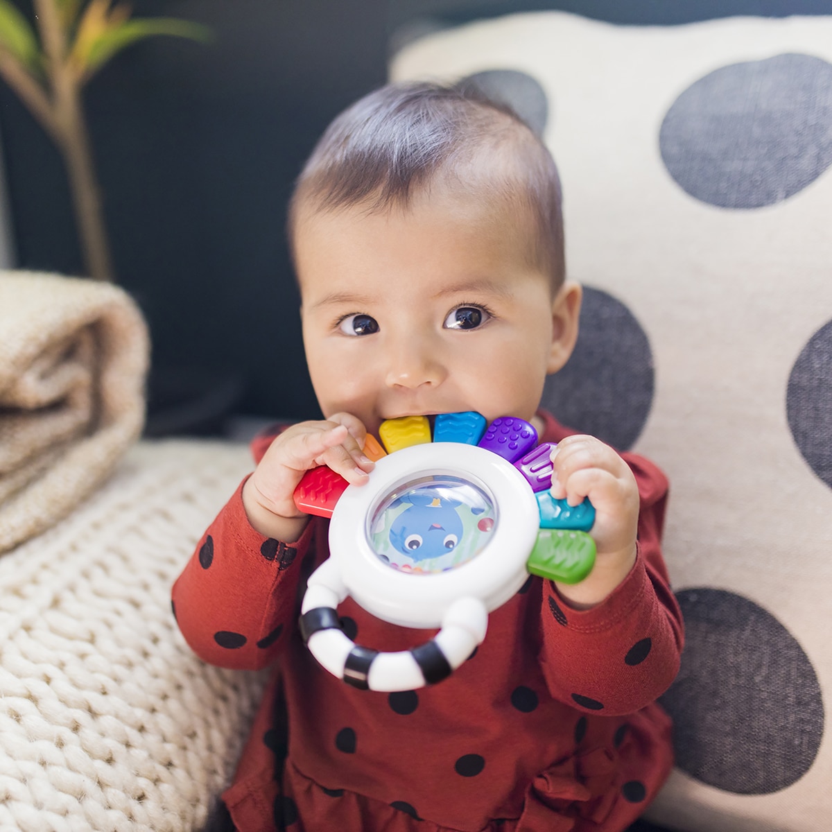 Sonajero mordedor Outstanding Opus Baby Einstein 5