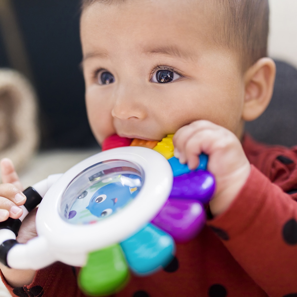 Sonajero mordedor Outstanding Opus Baby Einstein 6