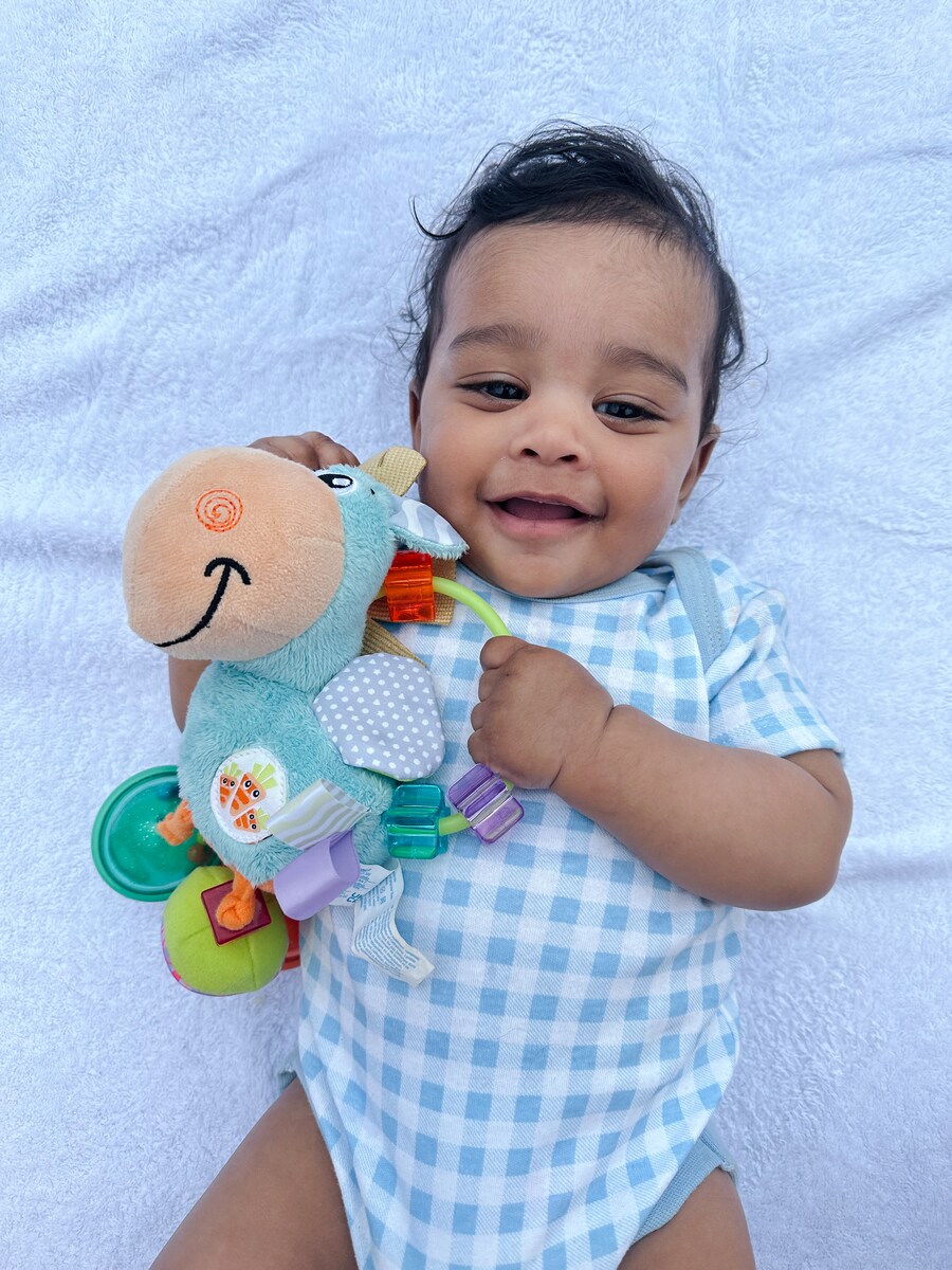 Sonajero Actividad Clip Clop Azul Playgro 2