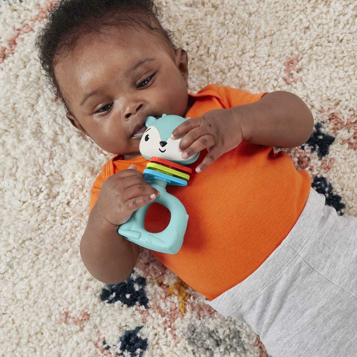 Anéis de animais Fisher-Price- Artigo Sortido. Envio realizado de forma aleatória 11