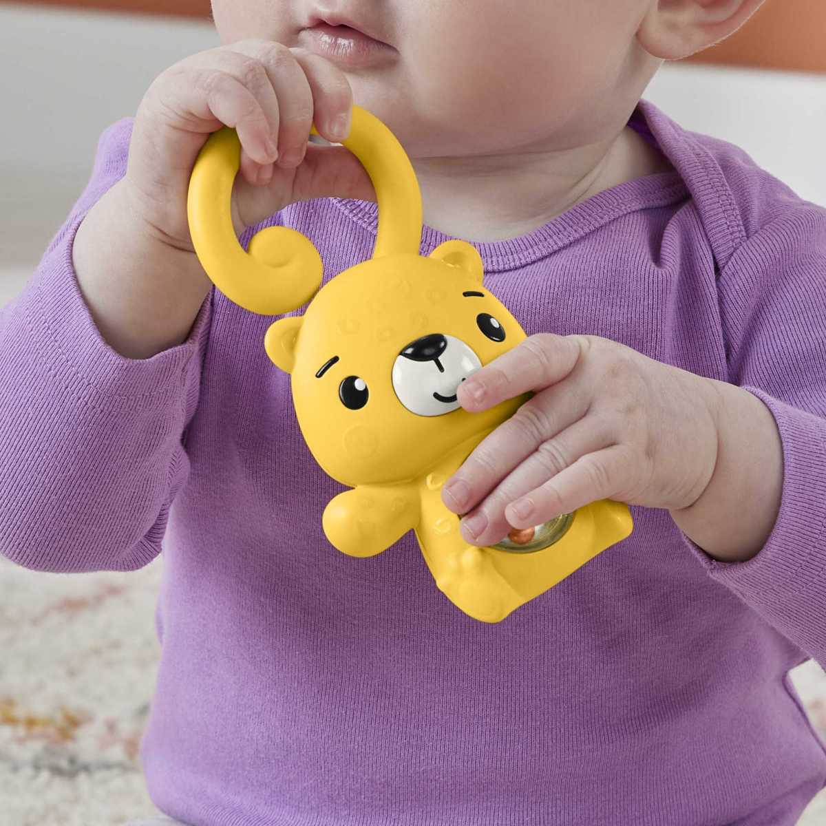 Anéis de animais Fisher-Price- Artigo Sortido. Envio realizado de forma aleatória 12