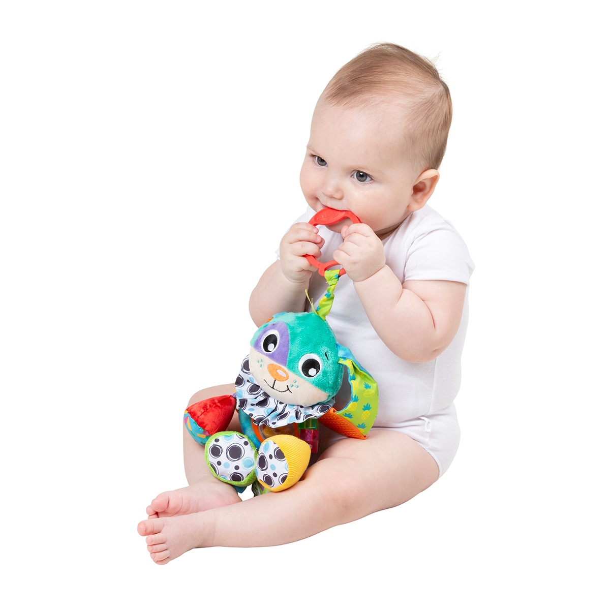 Amigo de Actividad Perrito Doofy Playgro 9