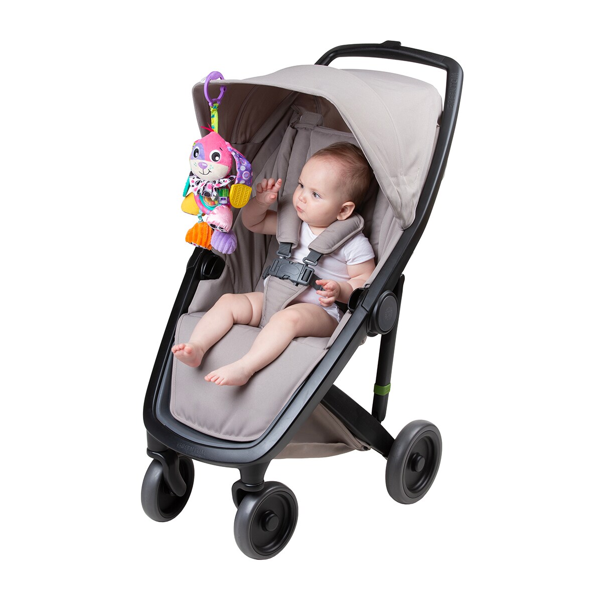 Amiga de Actividad Perrito Dixie Playgro 4