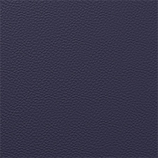 Evening Blue