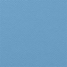 Alaskan Blue