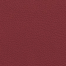 Rio Red