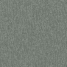 PANTONE Shadow