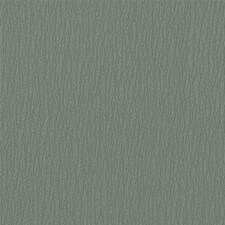 PANTONE Shadow PANTONE Shadow