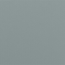 Pantone Gray Mist