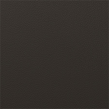 Pantone Black Olive