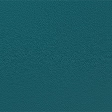 Pantone Shaded Spruce