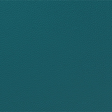 Pantone Shaded Spruce