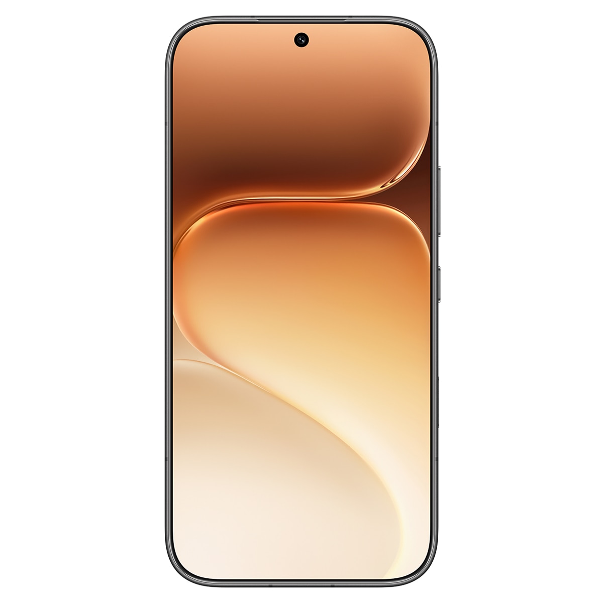 Honor 600 Pro 12GB + 512GB móvil libre Negro-2