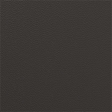 Pantone Black Olive