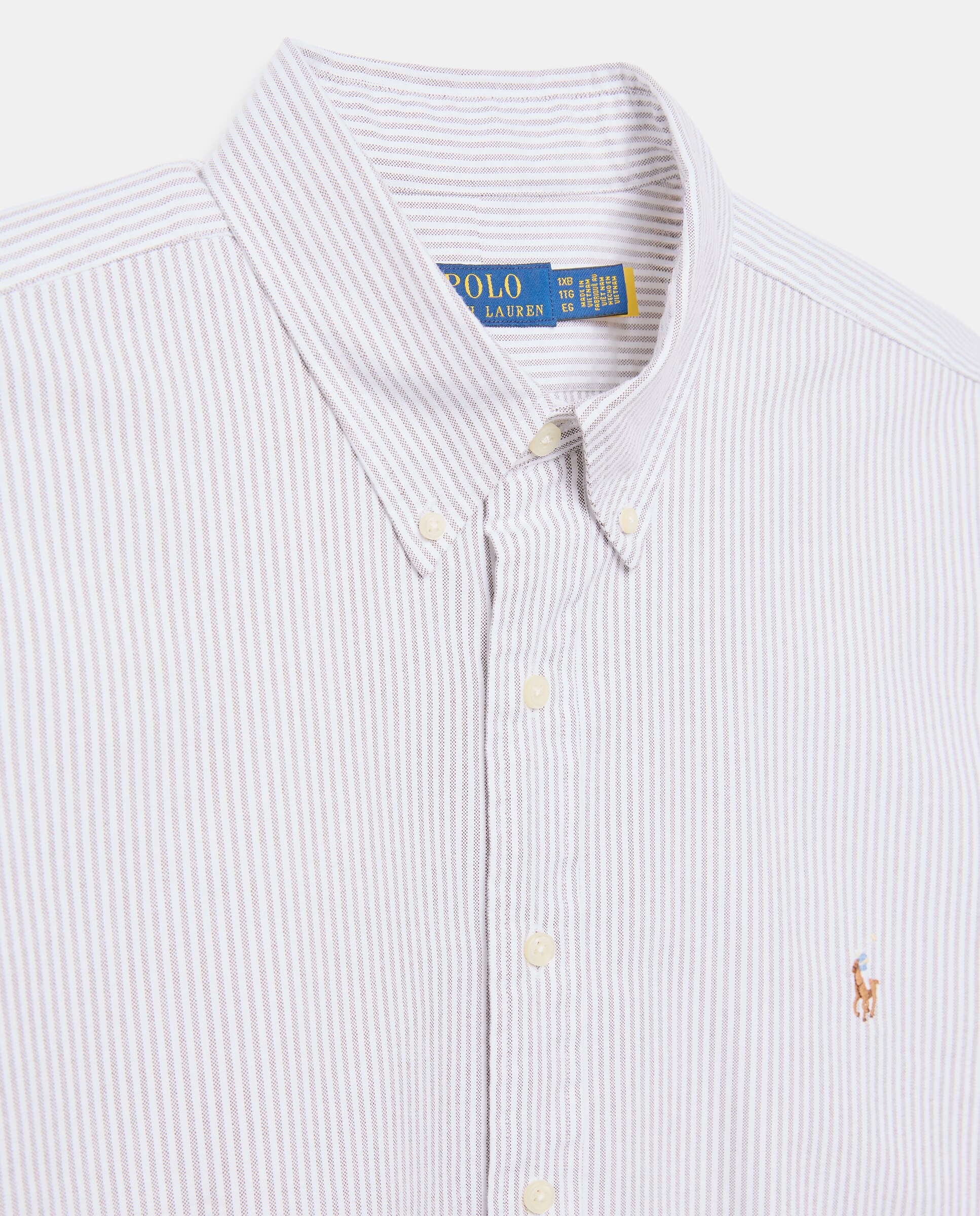 Camisa Oxford de Algodão Classic Fit Tamanhos Grandes Cinzento-claro-6