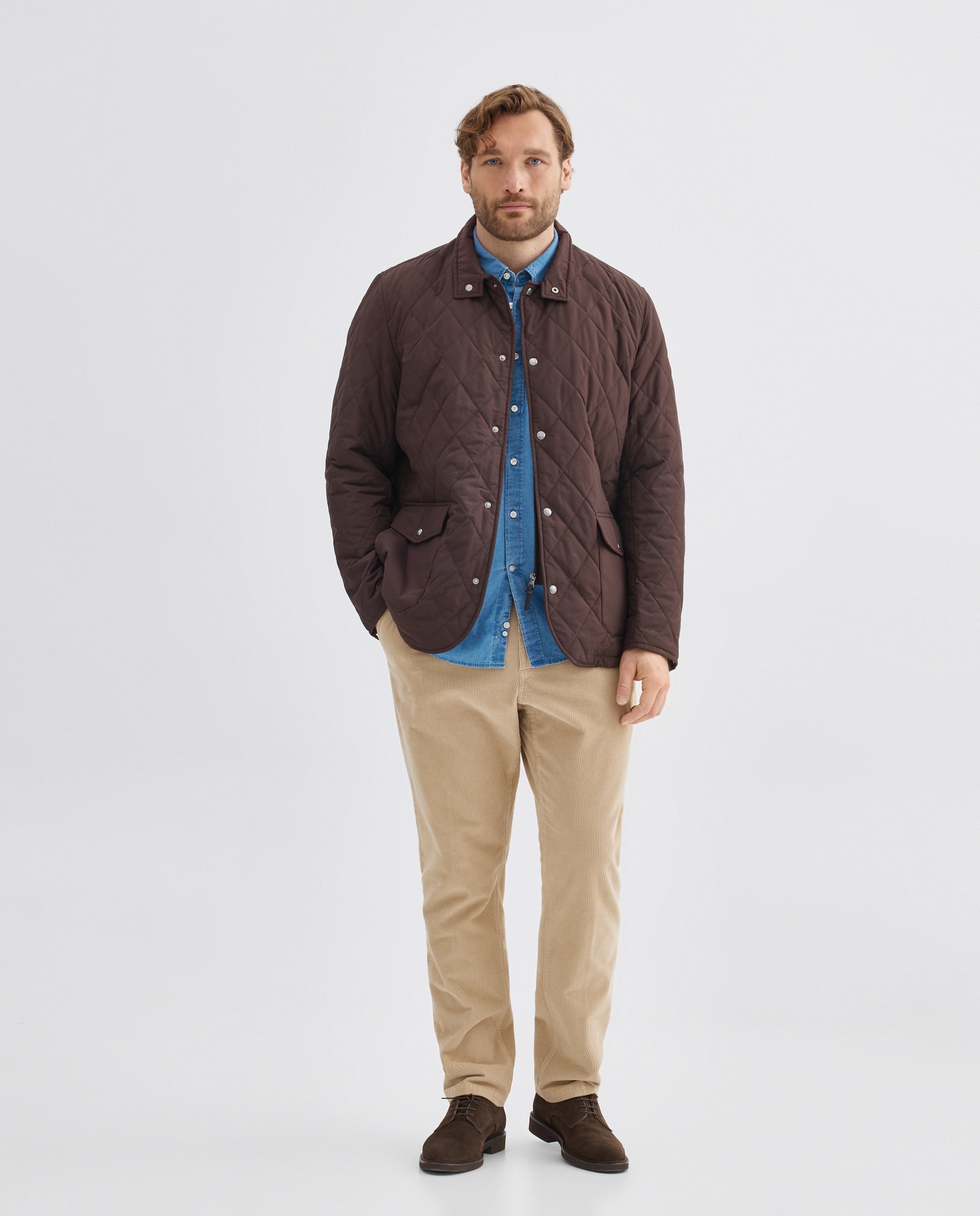 Chaqueta de hombre acolchada repelente al agua tallas grandes. - Hackett - Marrón oscuro Marrón oscuro-2