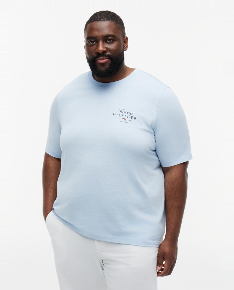 Imagen 0 de Camiseta de hombre de manga corta lisa tallas grandes Azul claro