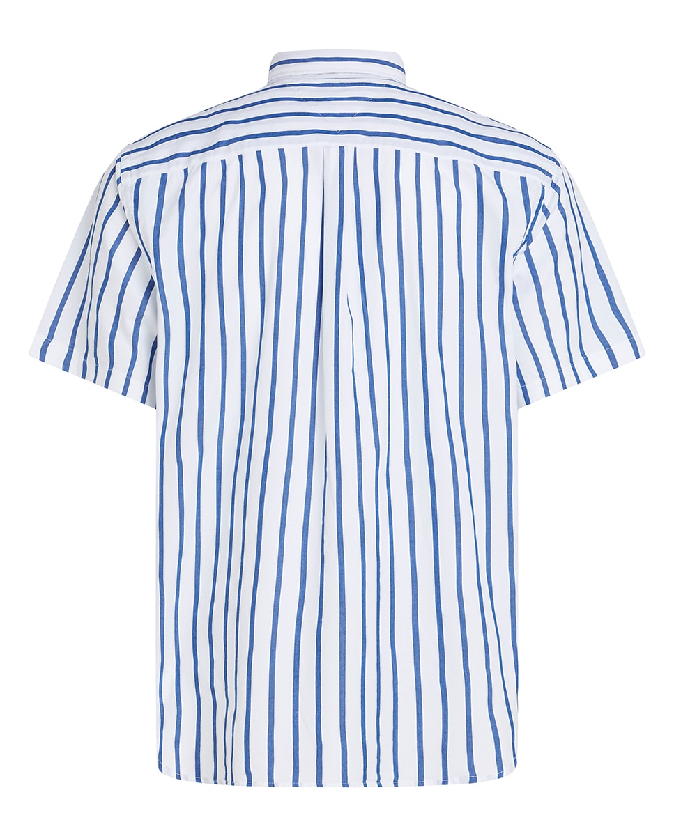Camisa de Popelina de Manga Curta de Tamanhos Grandes Multicolor-2