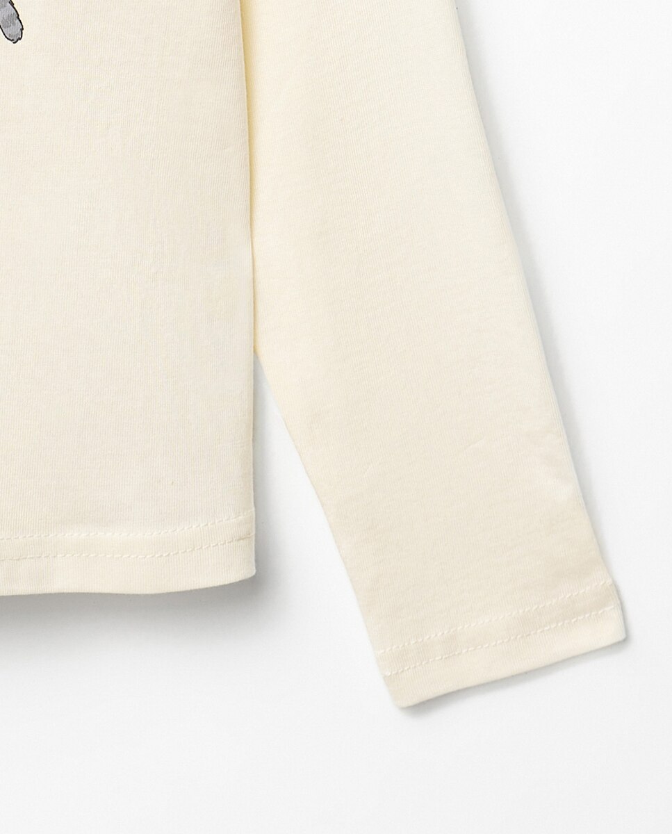 T-shirt Basic com Guaxinim Sfera 120 Cru-3