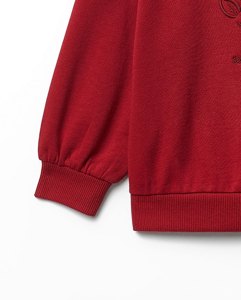 Sweatshirt com Cara de Rena 600 Vermelho-3