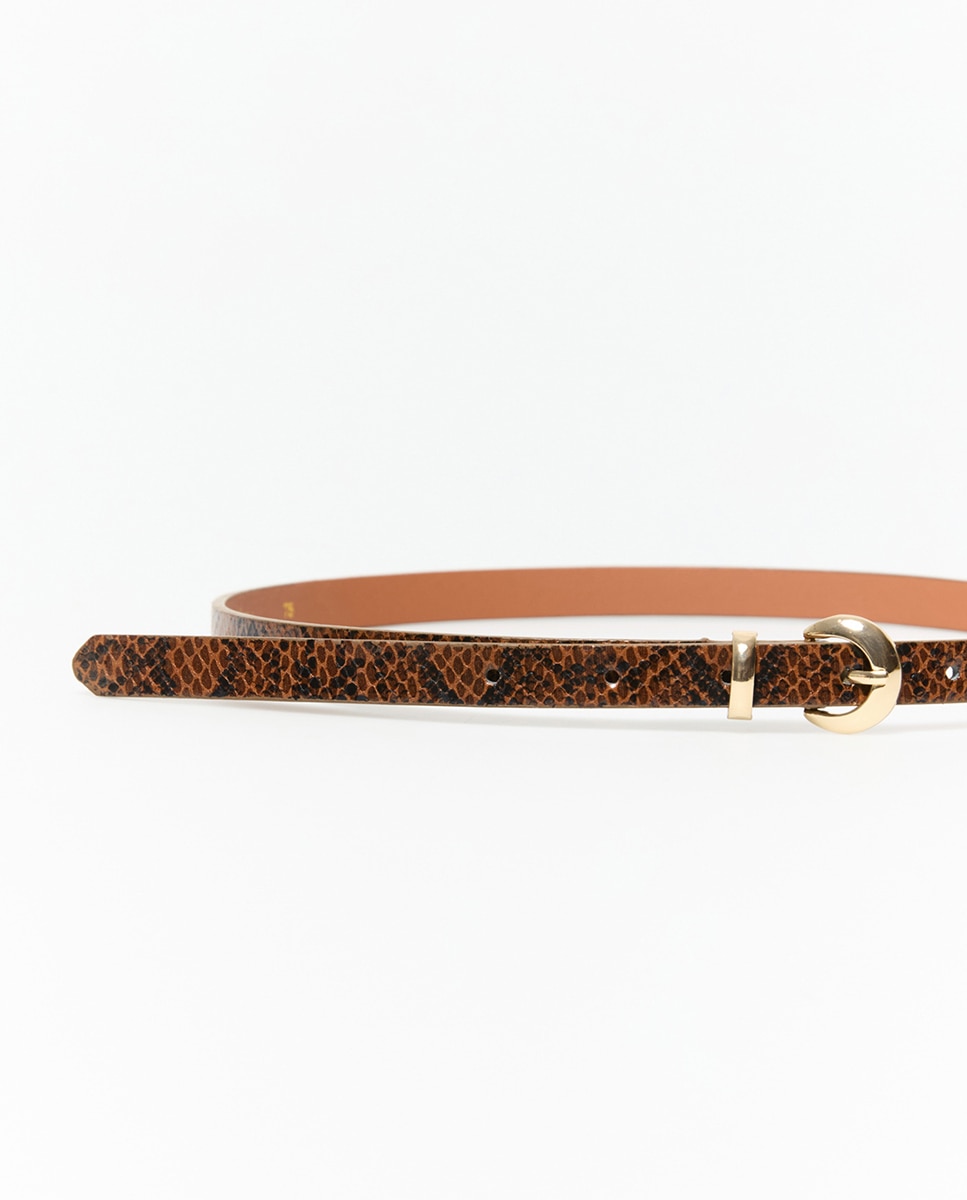 Conjunto de cintos com animal print de serpente Multicolor-2