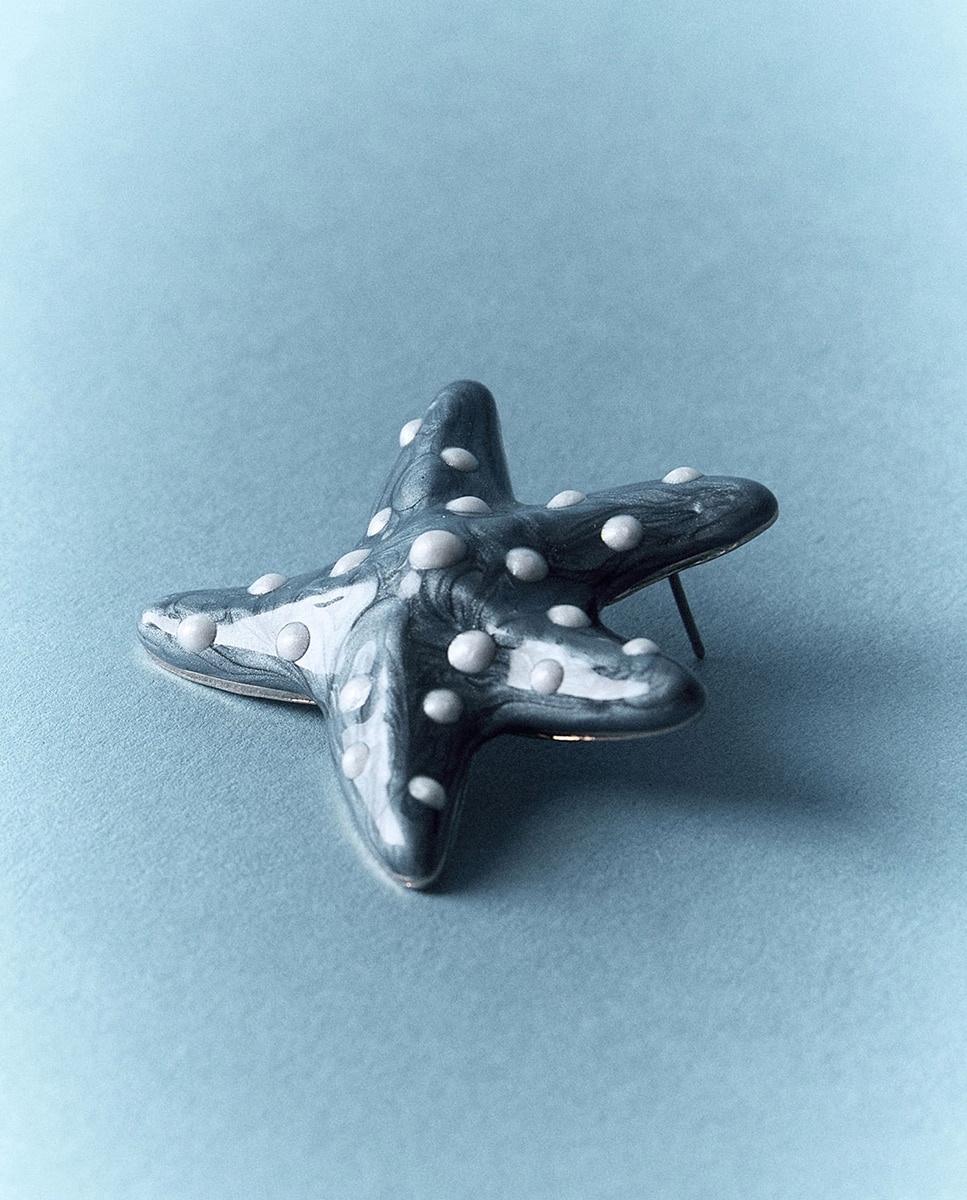 Imagem 0 de Brincos com Estrela-do-Mar