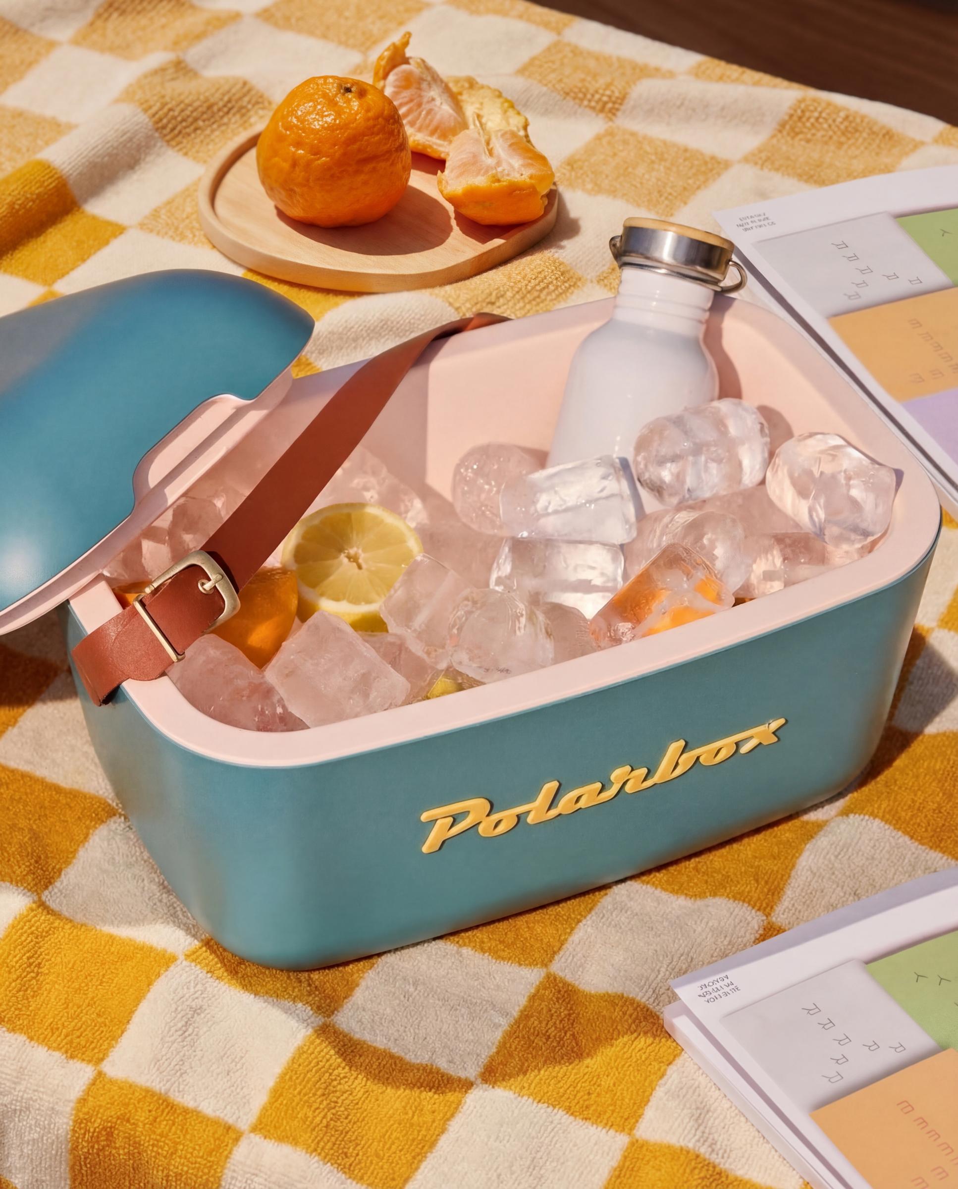 Nevera portátil Classic Polarbox Azul-7