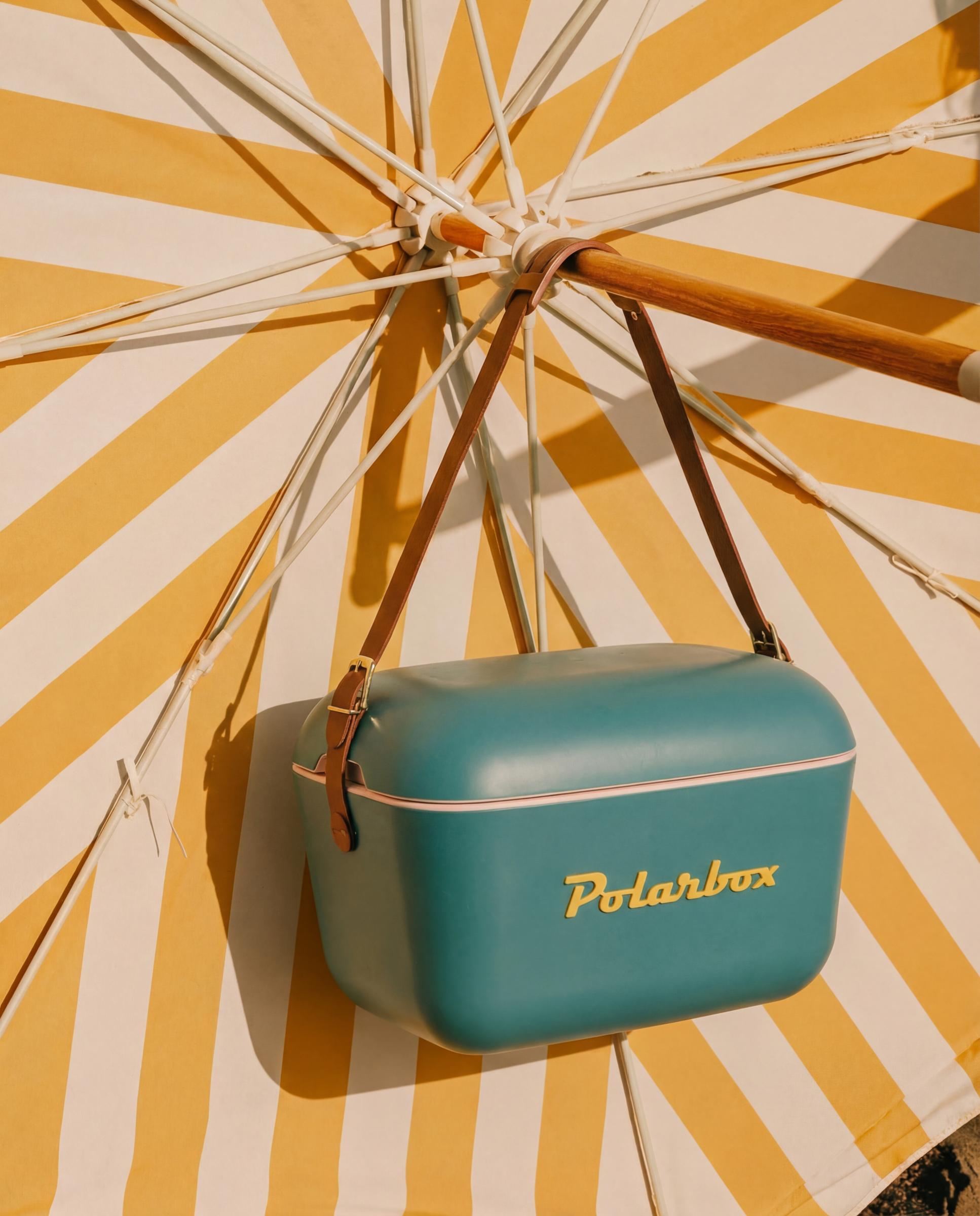 Nevera portátil Classic Polarbox Azul-8