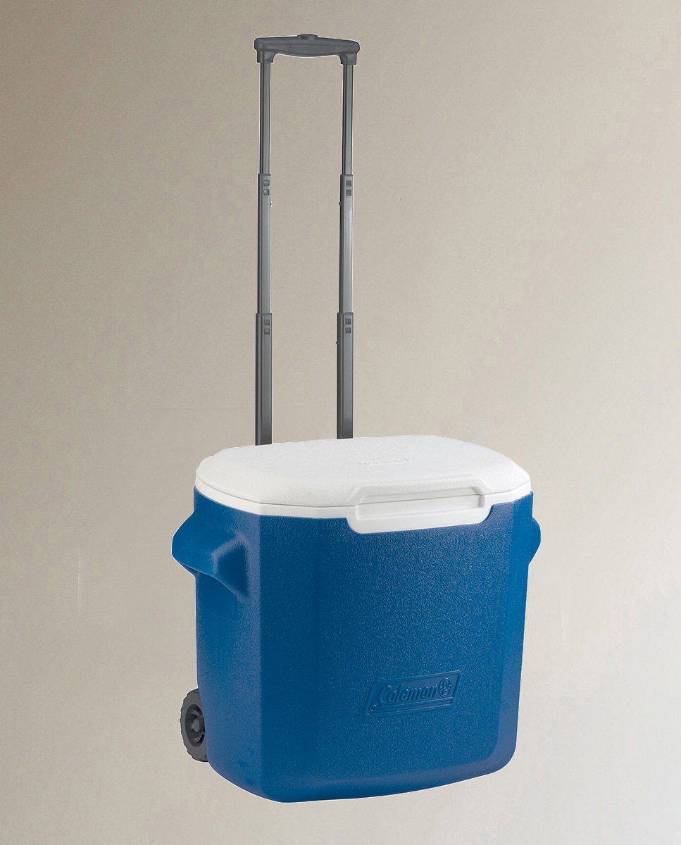 Imagen 0 de Nevera Rígida 28QT PERFORMANCE con Ruedas (26,5L)