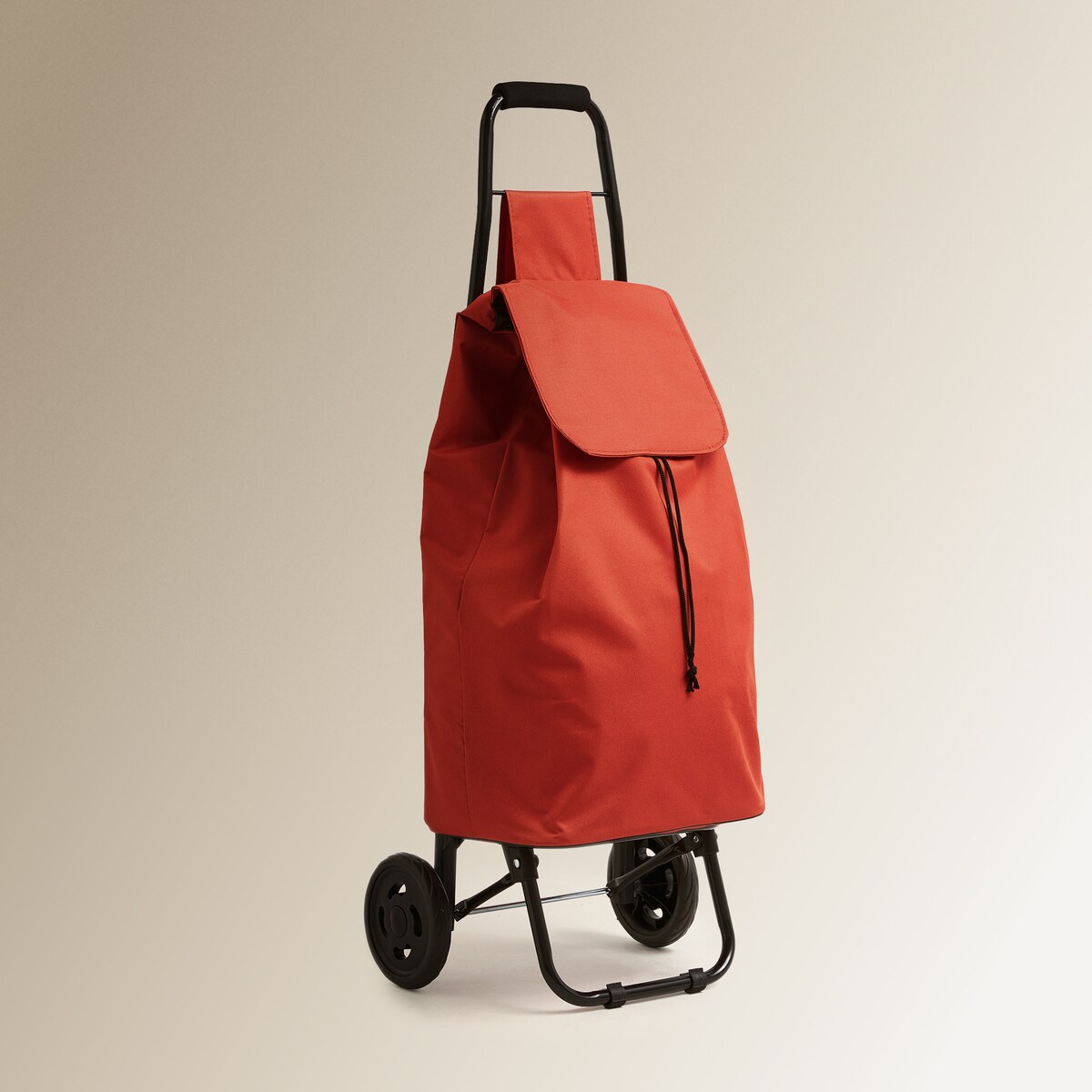 Trolley de compras O Nosso Melhor Preço Terra-2