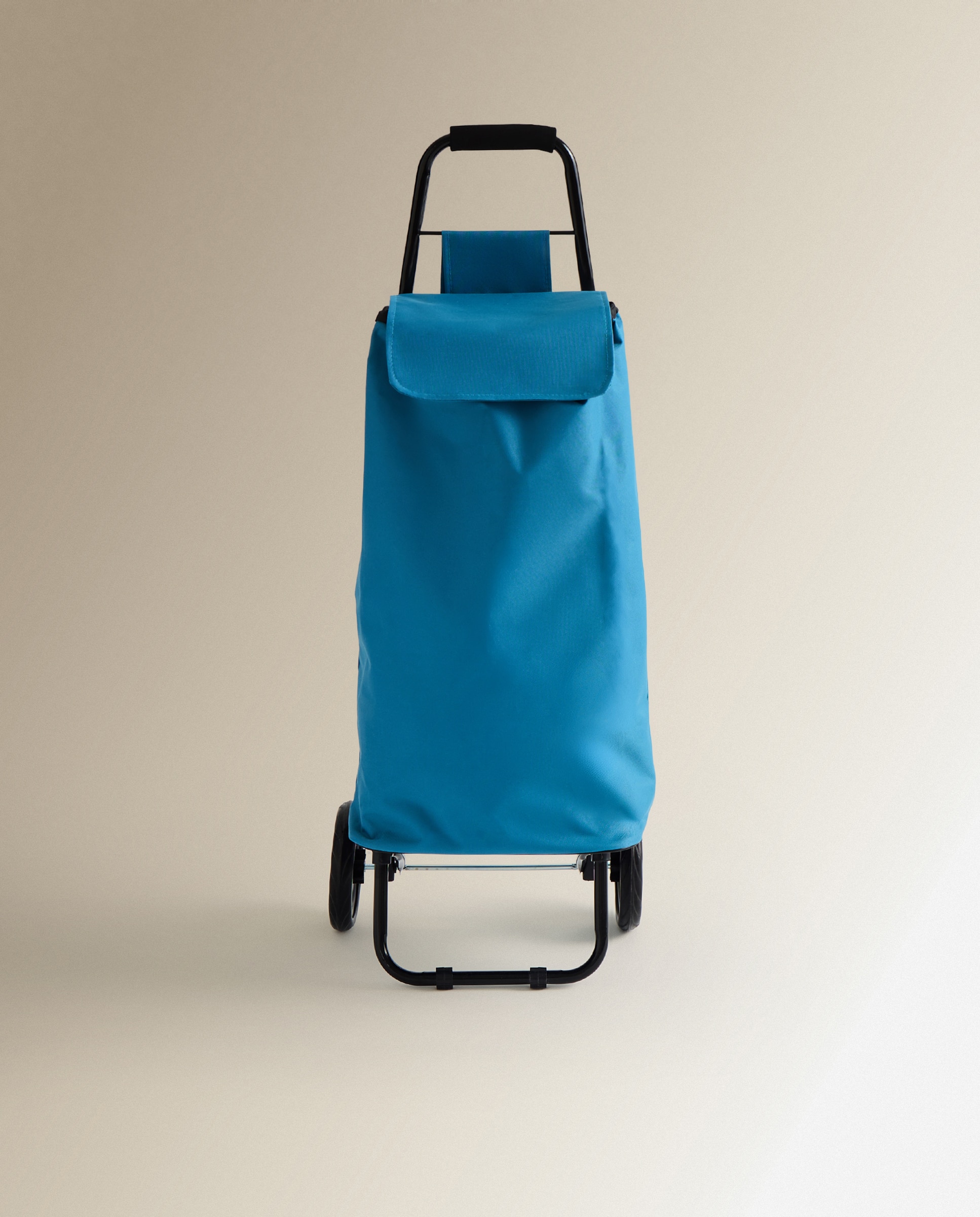 Carro de Compras com 2 Rodas One Azul-2