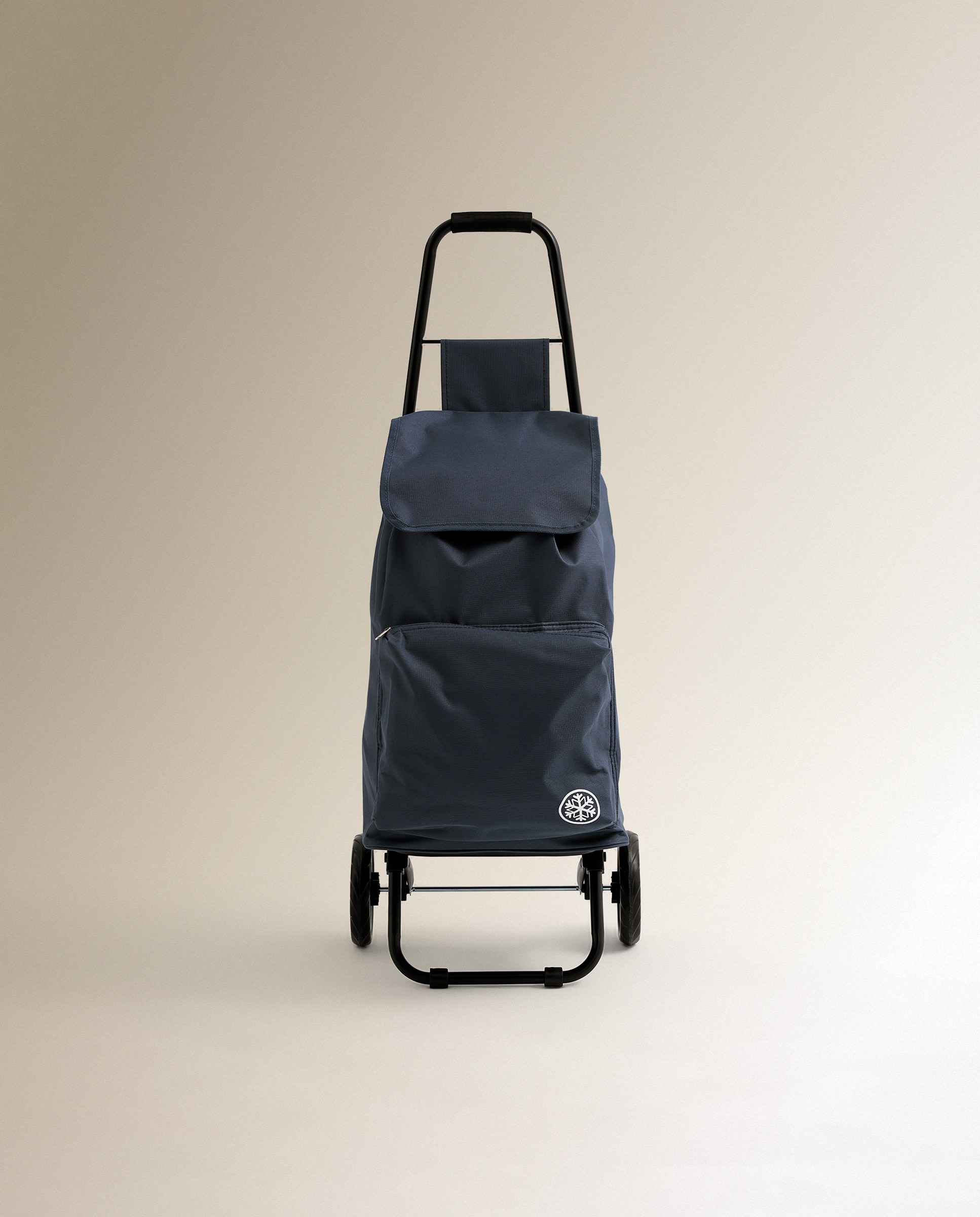 Carro de Compras de 2 Rodas com Bolsa Térmica Azul-2