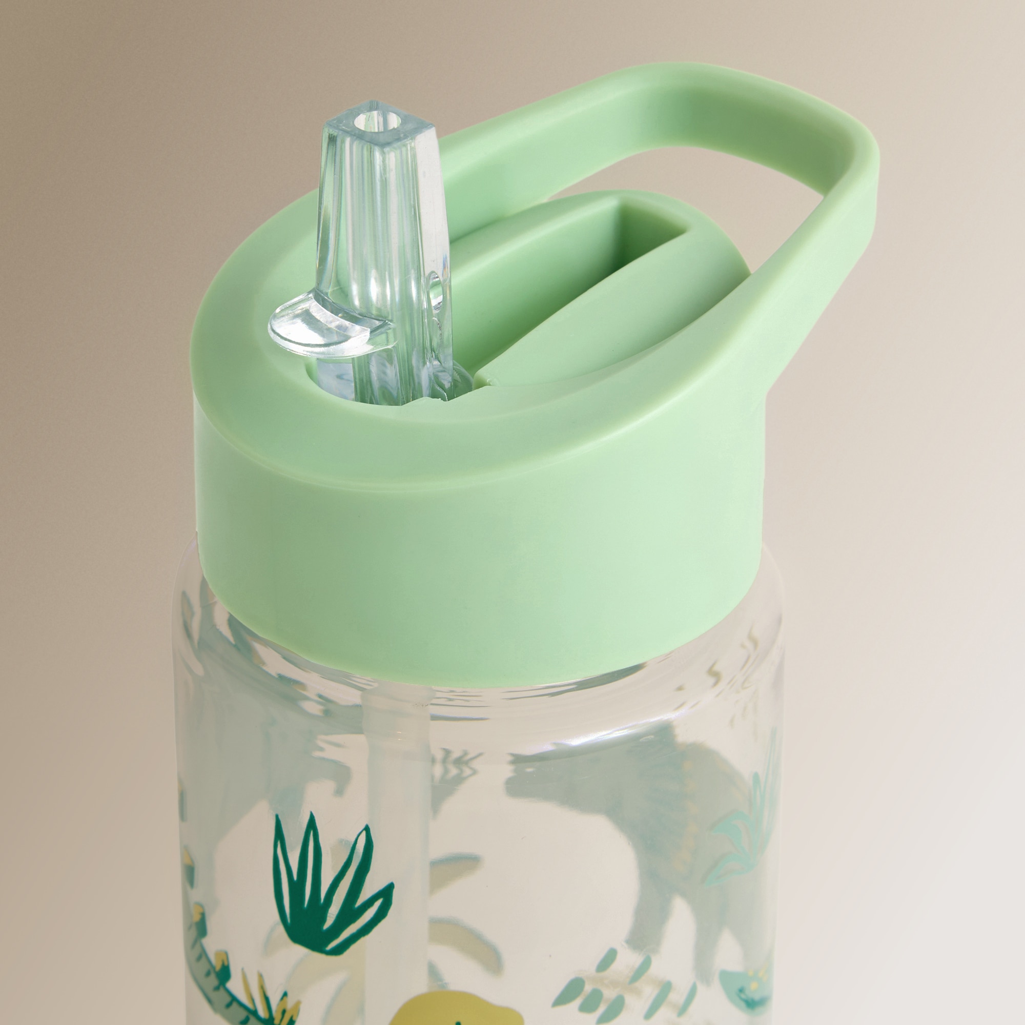 Garrafa de Água Dinossauro Multicolor-3