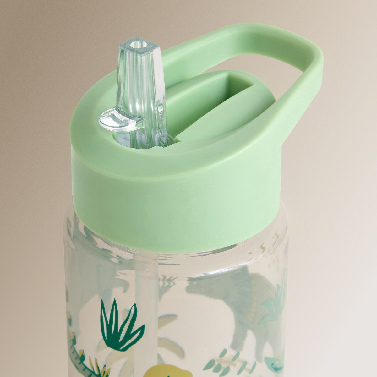 Garrafa de Água Dinossauro Multicolor-3