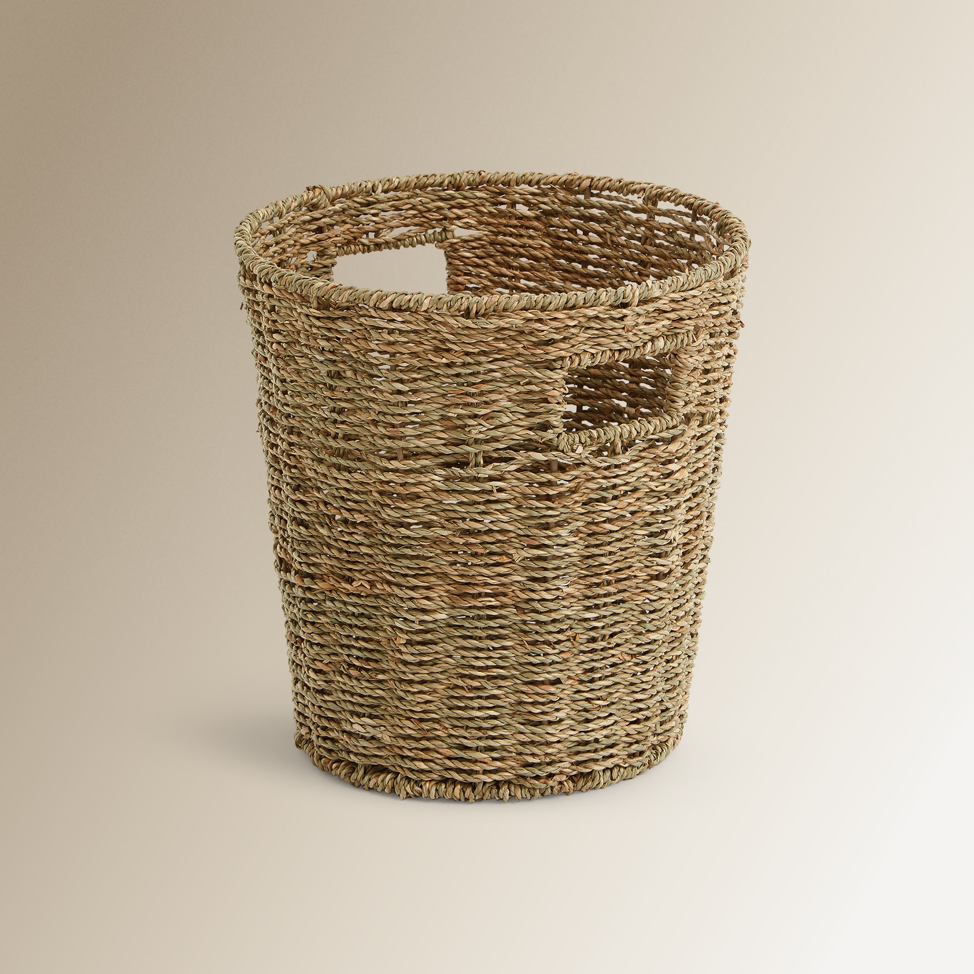 Imagem 0 de Balde do Lixo Seagrass