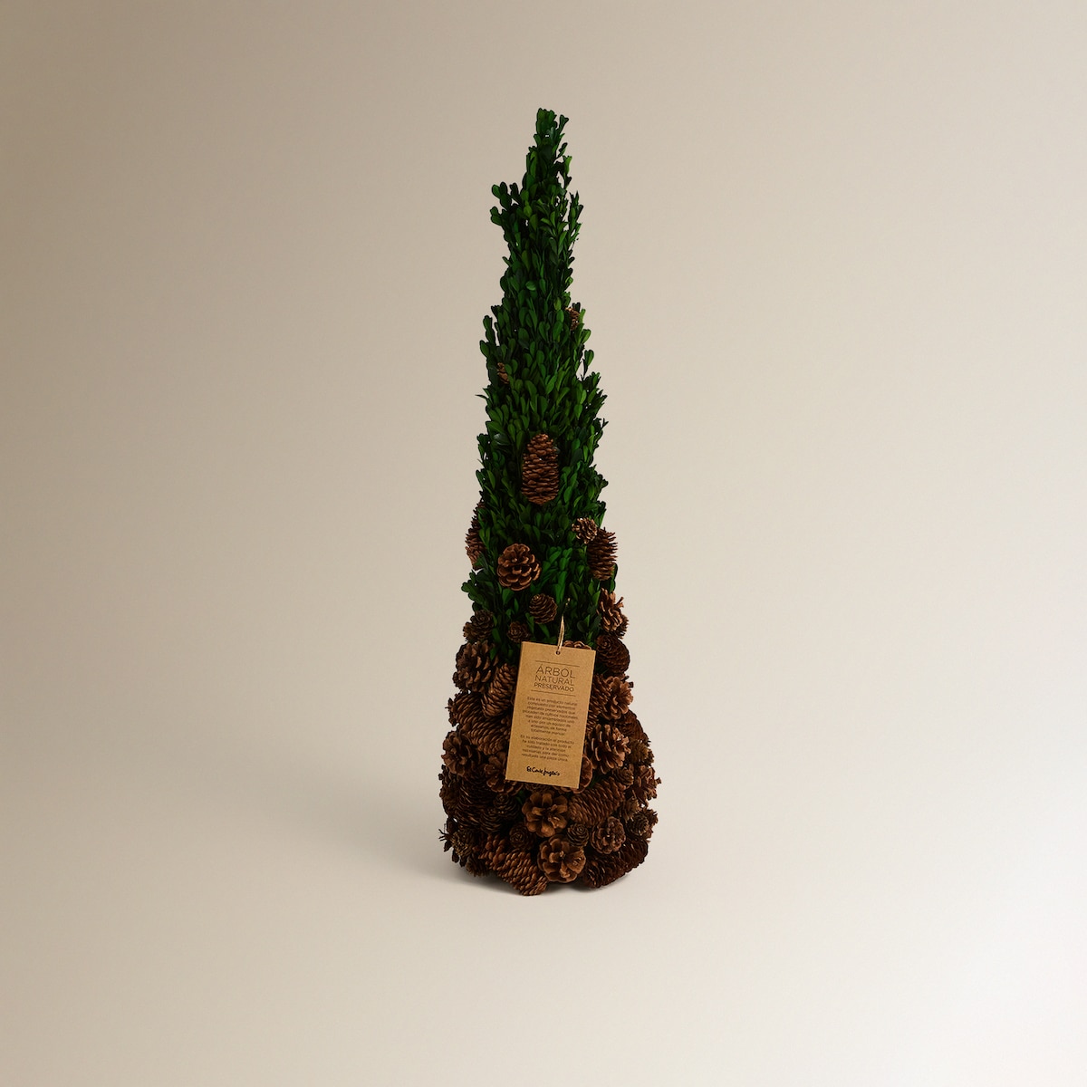 Árbol de mesa preservado Piñas Navidad Verde-2