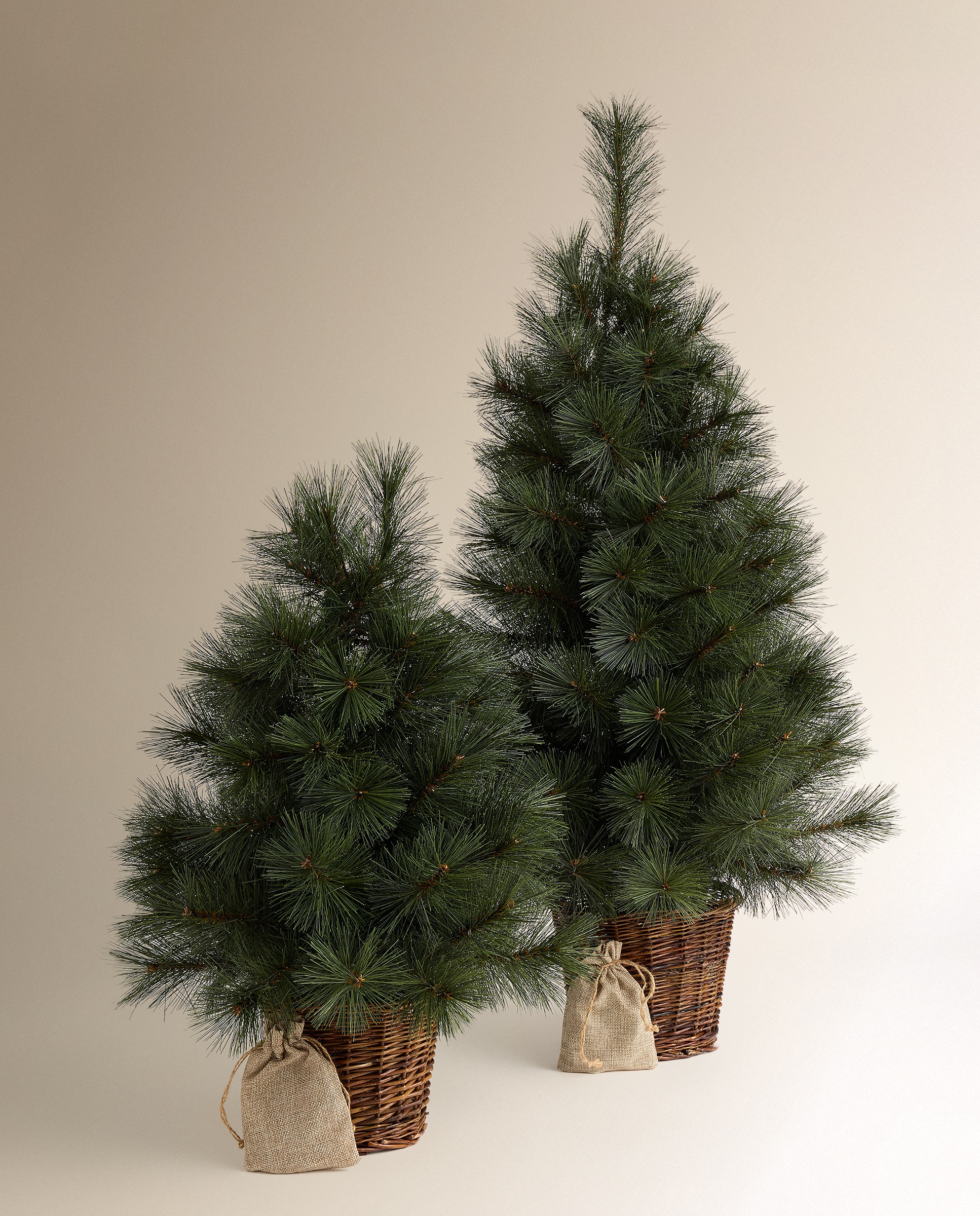 Árbol de mesa con luz LED y maceta Verbier Navidad - Verde 60 cm Verde-6