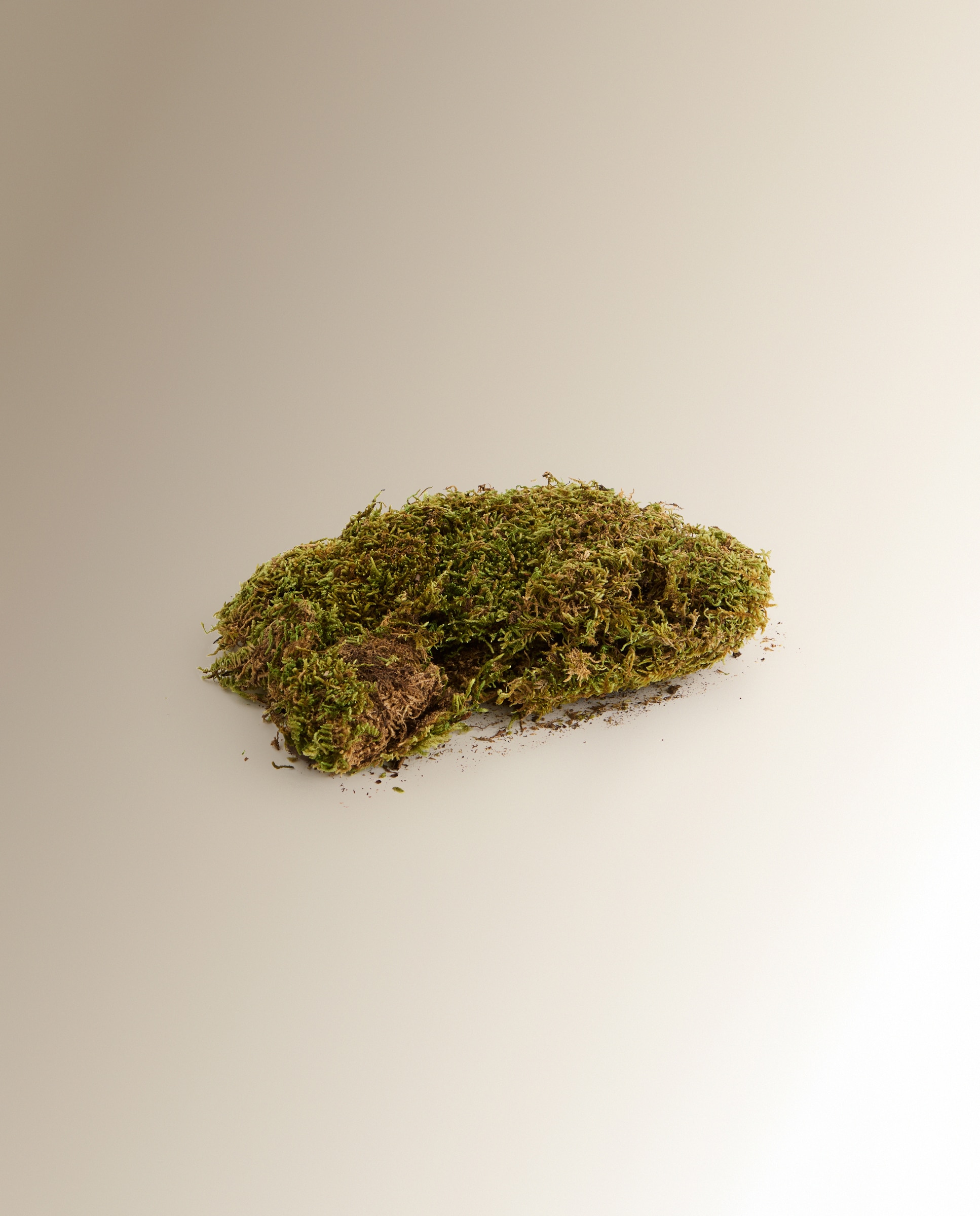 Imagen 1 de Bolsa de musgo natural El Corte Inglés - Verde Verde
