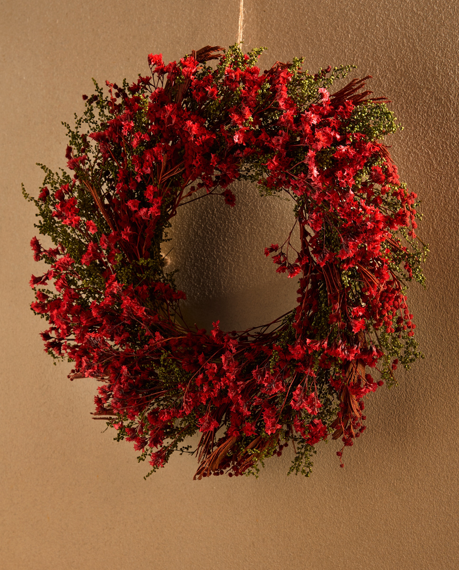 Imagen 0 de Corona preservada Flor Paniculata Navidad Rojo
