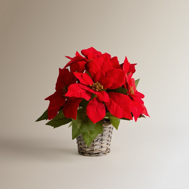 Imagem 0 de Flor de Poinsétia Artificial em Vaso de Rattan