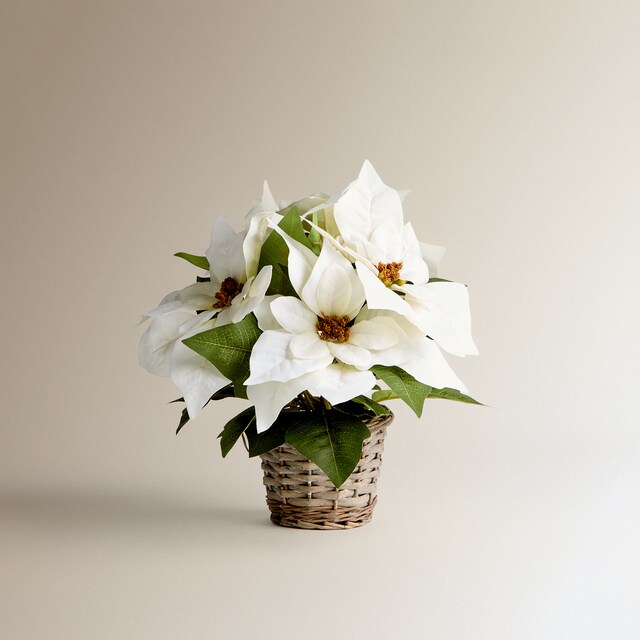 Imagen 0 de Flor de Ponsetia artificial en maceta de ratán Navidad