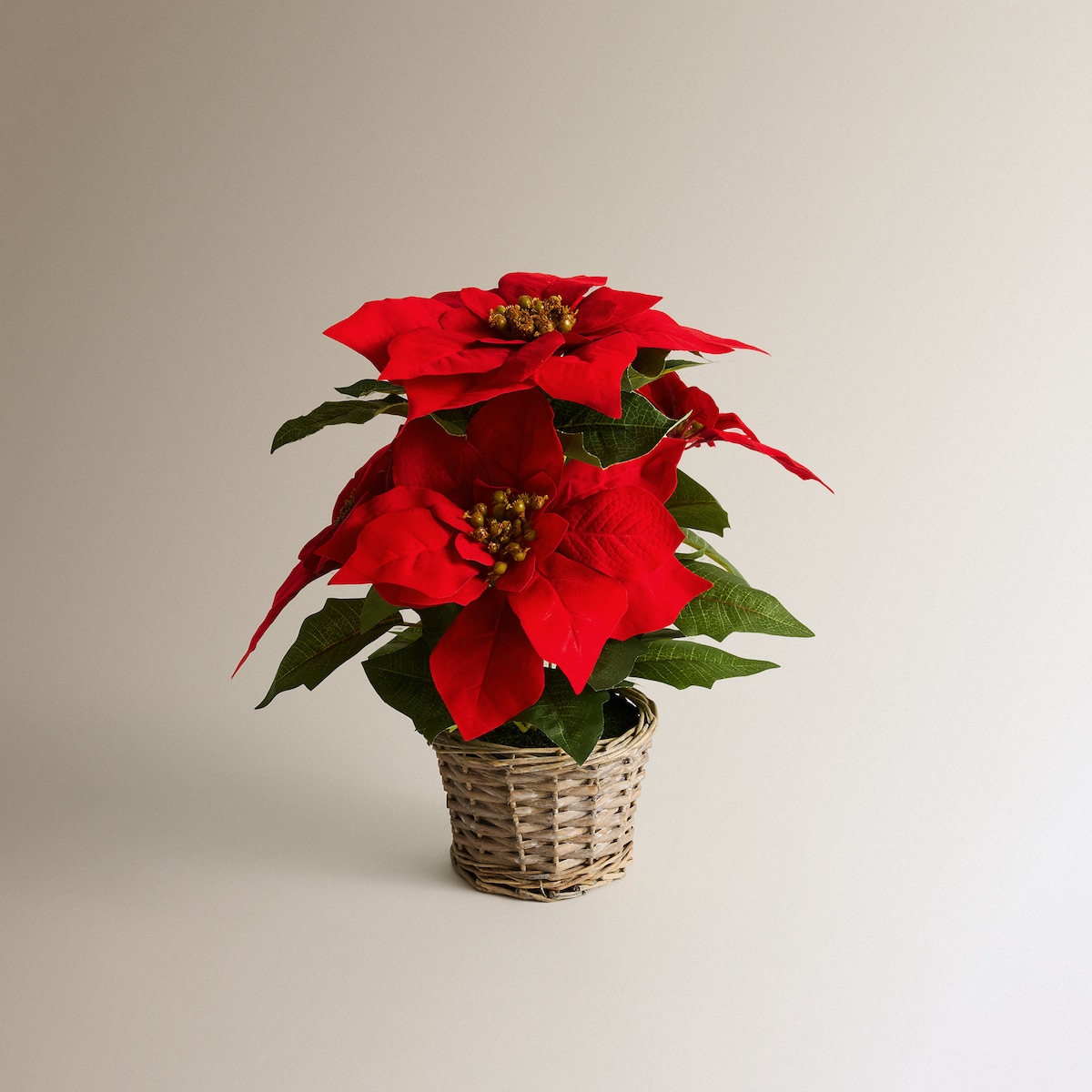 Flor de Pascua artificial en maceta de ratán Navidad El Corte Inglés Rojo-1