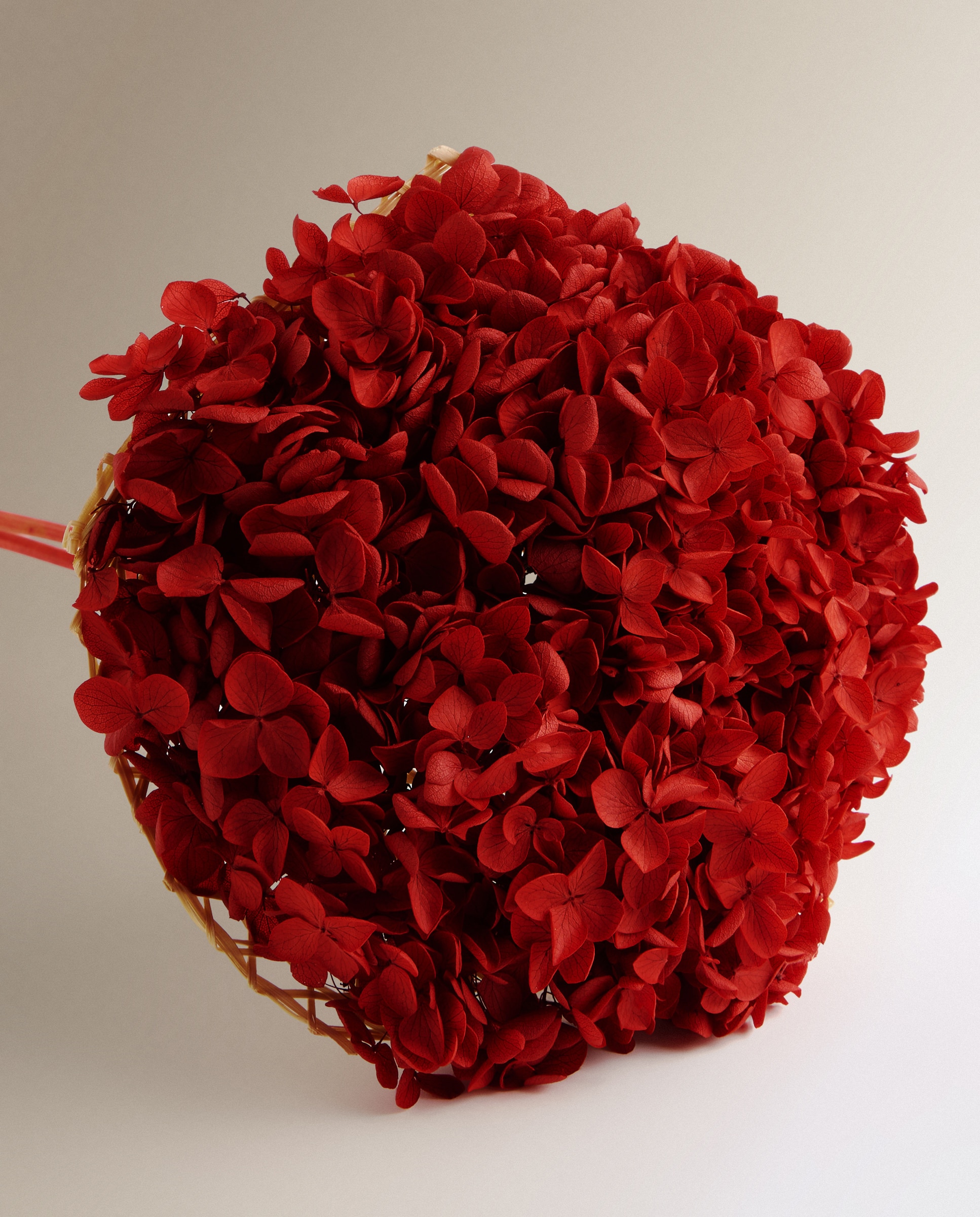 Flor Preservada Hortense Natal Vermelho-2