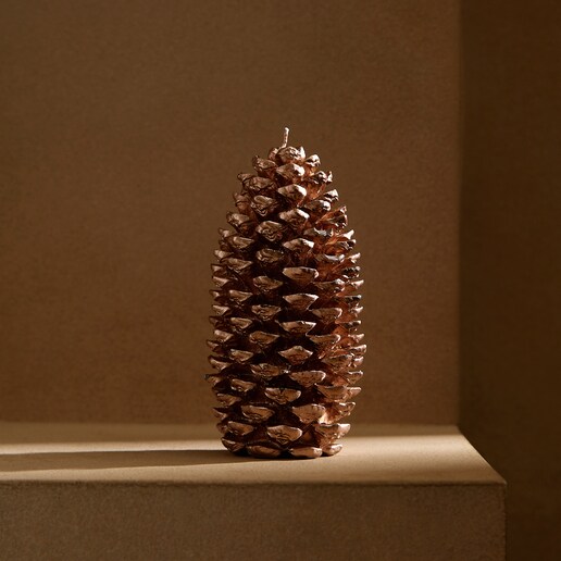 Vela Piña Navidad