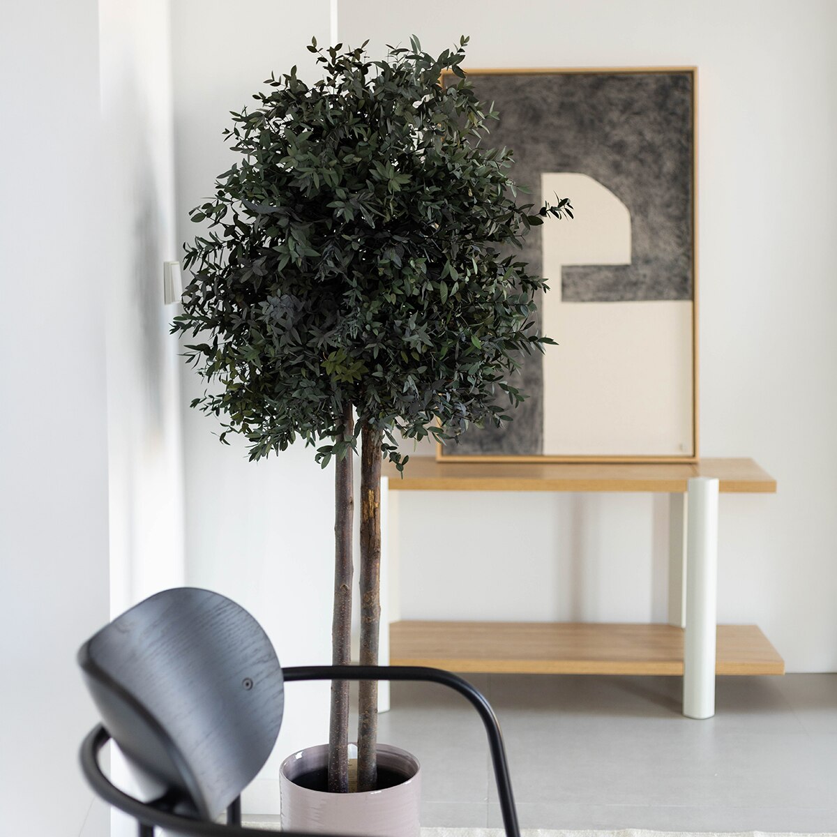 Parvifolia 150C 2